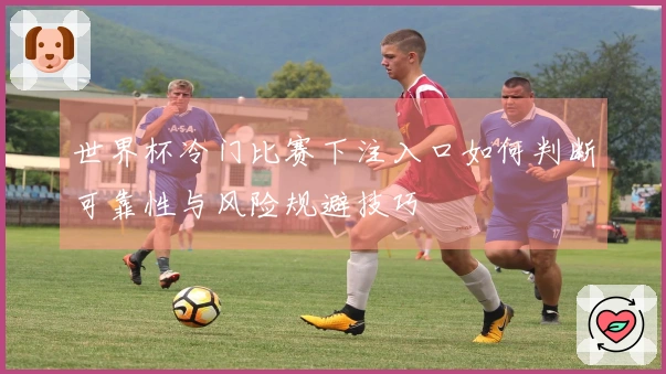 世界杯冷门比赛下注入口如何判断可靠性与风险规避技巧