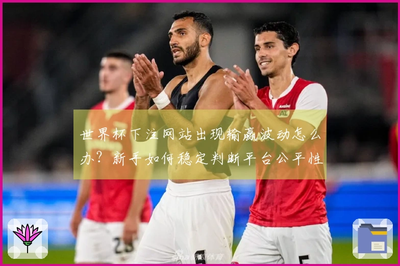 世界杯下注网站出现输赢波动怎么办？新手如何稳定判断平台公平性