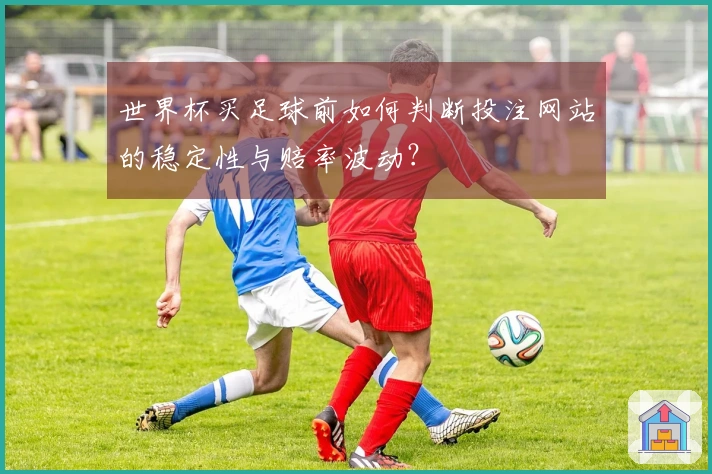 世界杯买足球前如何判断投注网站的稳定性与赔率波动？