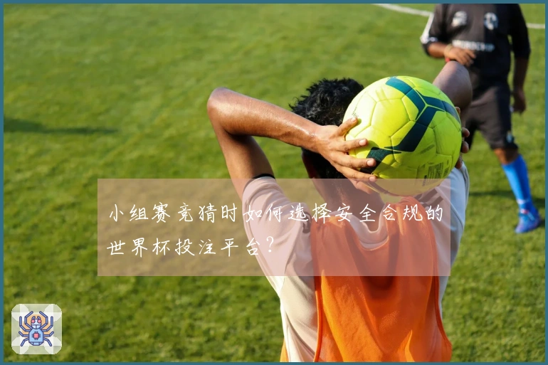 小组赛竞猜时如何选择安全合规的世界杯投注平台？