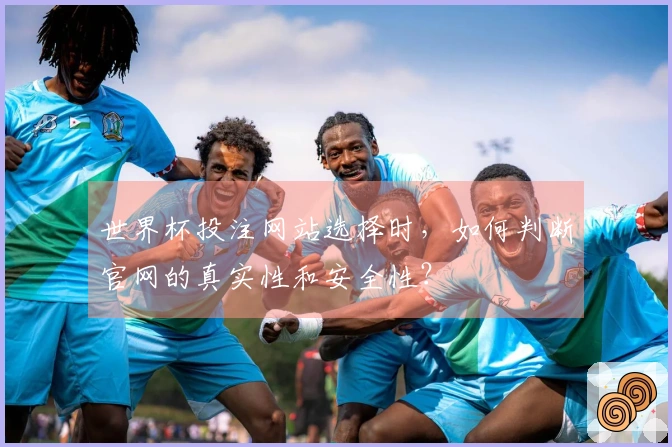 世界杯投注网站选择时，如何判断官网的真实性和安全性？