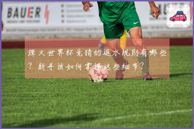 烽火世界杯竞猜的返水规则有哪些？新手该如何掌握这些细节？