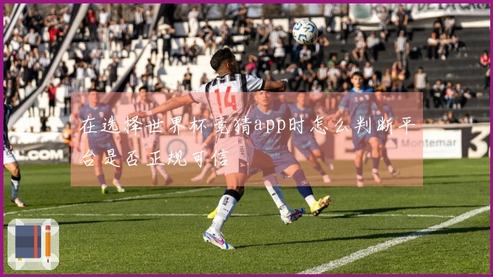 在选择世界杯竞猜app时怎么判断平台是否正规可信