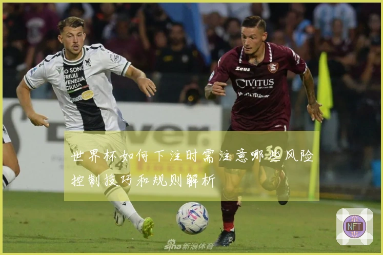 世界杯如何下注时需注意哪些风险控制技巧和规则解析
