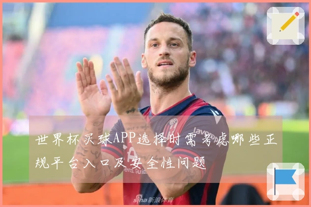 世界杯买球APP选择时需考虑哪些正规平台入口及安全性问题