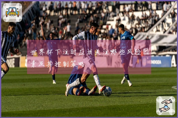 世界杯下注时应该关注哪些风险因素及其控制策略