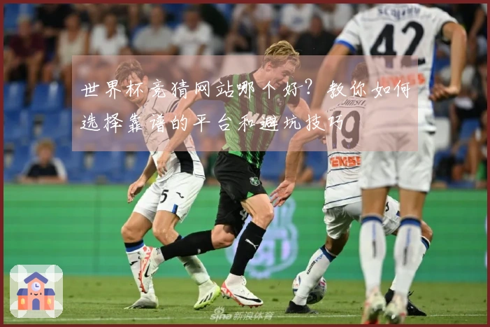 世界杯竞猜网站哪个好？教你如何选择靠谱的平台和避坑技巧