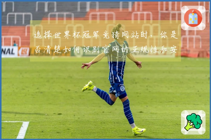 选择世界杯冠军竞猜网站时，你是否清楚如何识别官网的正规性和安全性？