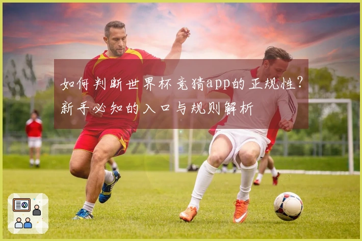 如何判断世界杯竞猜app的正规性？新手必知的入口与规则解析
