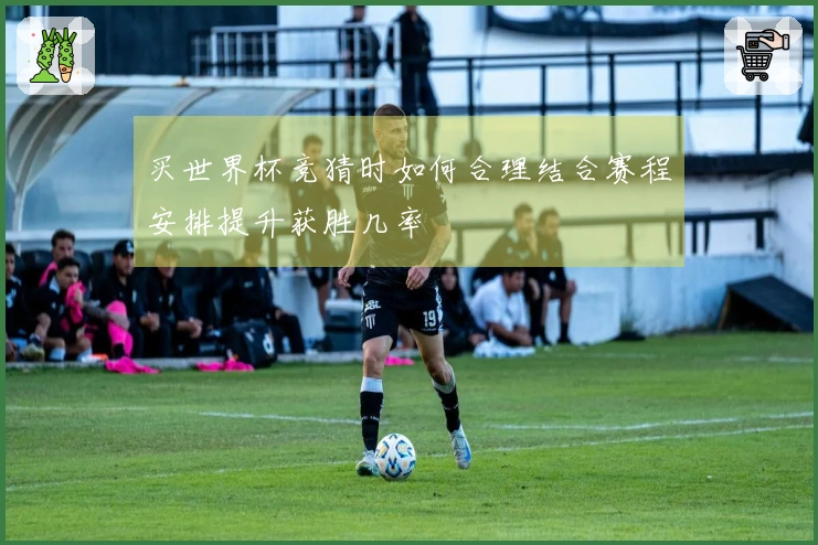 买世界杯竞猜时如何合理结合赛程安排提升获胜几率