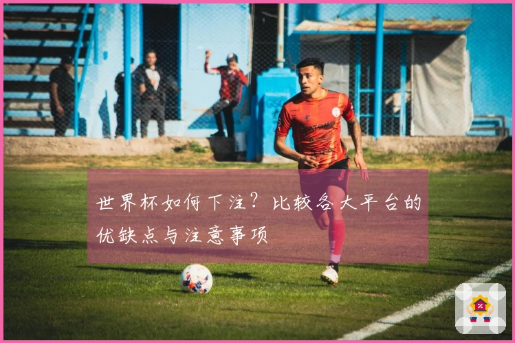 世界杯如何下注？比较各大平台的优缺点与注意事项