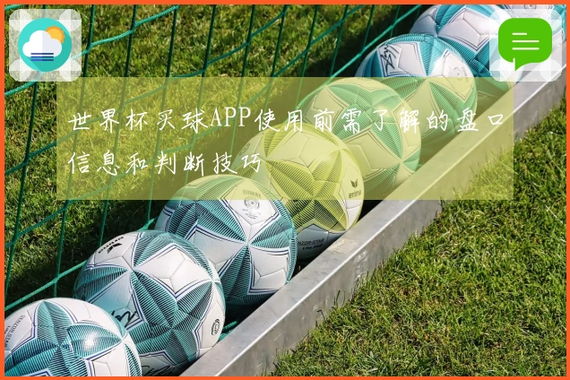 世界杯买球APP使用前需了解的盘口信息和判断技巧