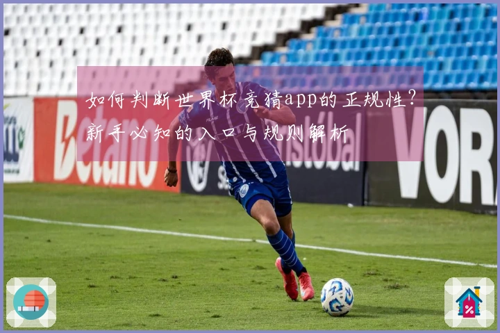 如何判断世界杯竞猜app的正规性？新手必知的入口与规则解析