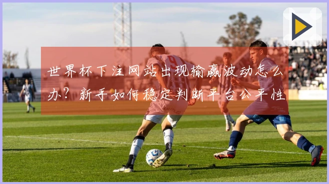 世界杯下注网站出现输赢波动怎么办？新手如何稳定判断平台公平性