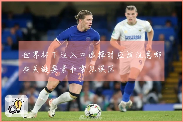 世界杯下注入口选择时应该注意哪些关键要素和常见误区