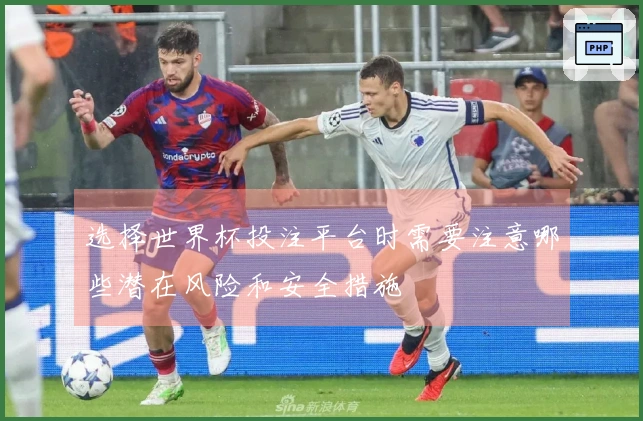选择世界杯投注平台时需要注意哪些潜在风险和安全措施