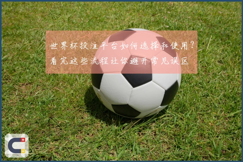世界杯投注平台如何选择和使用？看完这些流程让你避开常见误区