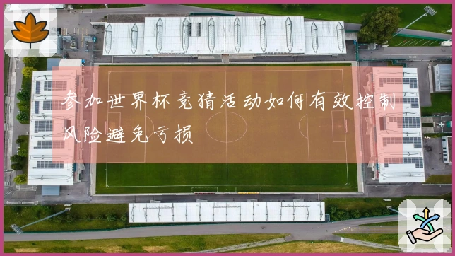 参加世界杯竞猜活动如何有效控制风险避免亏损