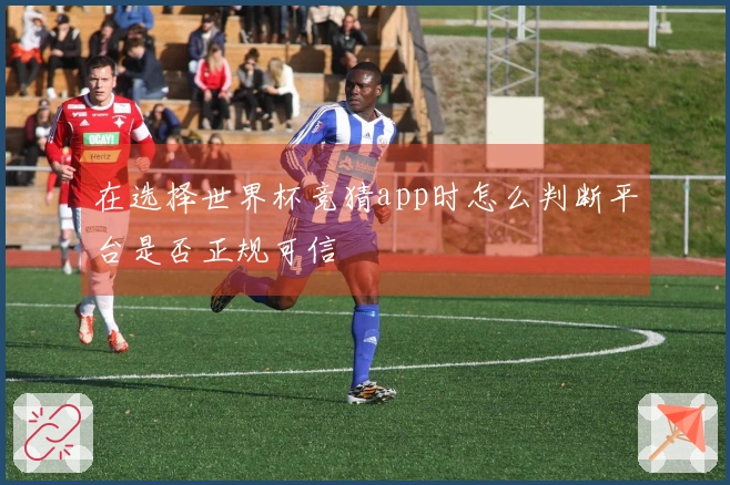 在选择世界杯竞猜app时怎么判断平台是否正规可信