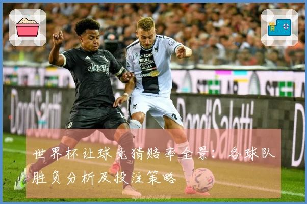世界杯让球竞猜赔率全景：各球队胜负分析及投注策略