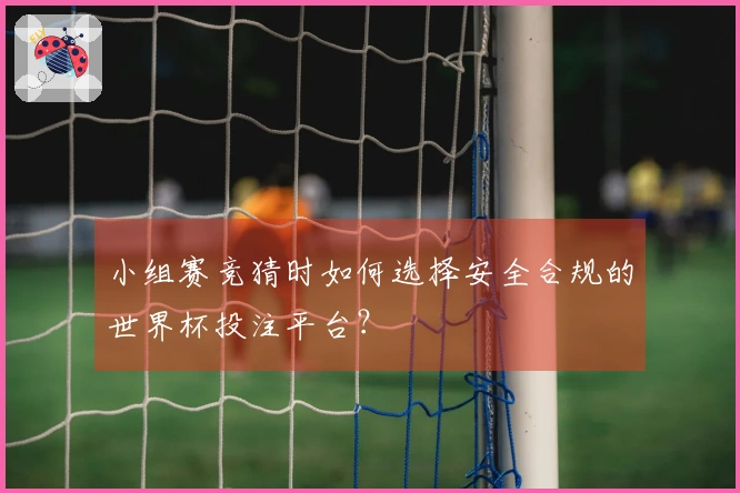 小组赛竞猜时如何选择安全合规的世界杯投注平台？