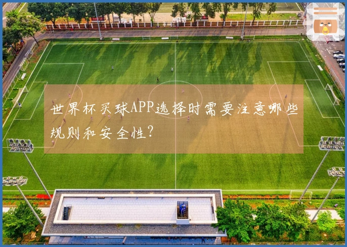 世界杯买球APP选择时需要注意哪些规则和安全性？