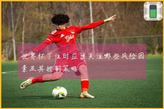 世界杯下注时应该关注哪些风险因素及其控制策略