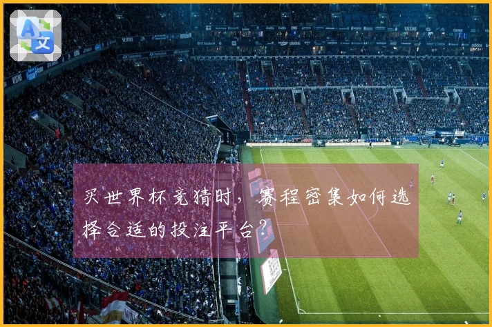 买世界杯竞猜时，赛程密集如何选择合适的投注平台？